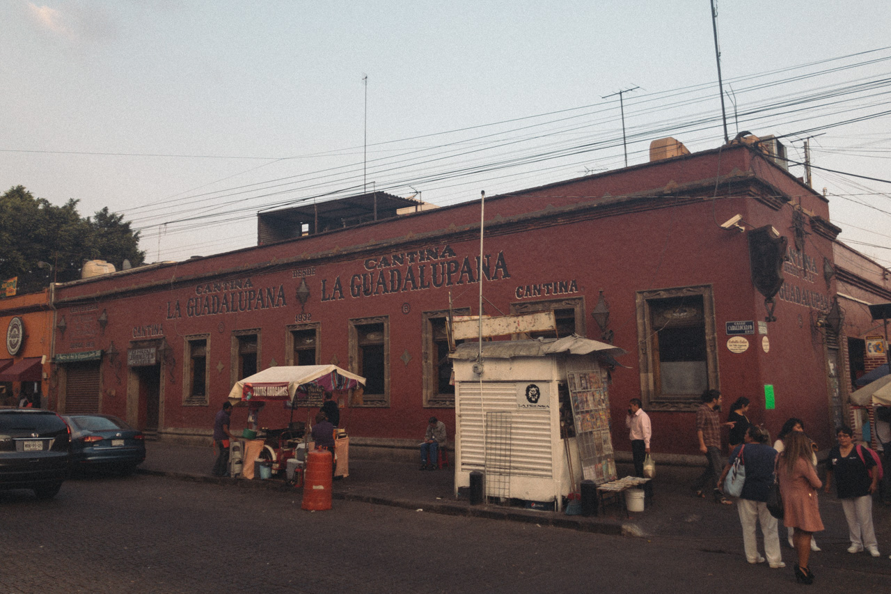 Mexico City : Coyoacan and UNAM ~ Art town and Campus｜メキシコシティ：コヨ ...