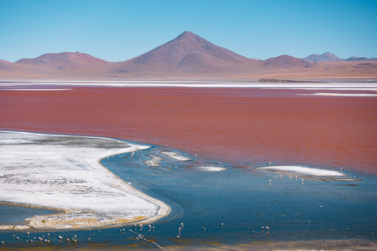 Uyuni 赤の湖 ラグナ コロラダ とピンクのフラミンゴとストーンツリー Red Lagoon Laguna Colorada Pink Flamingo And Stone Tree 世界23周の旅 World Odyssey 23 Laps Rond The World